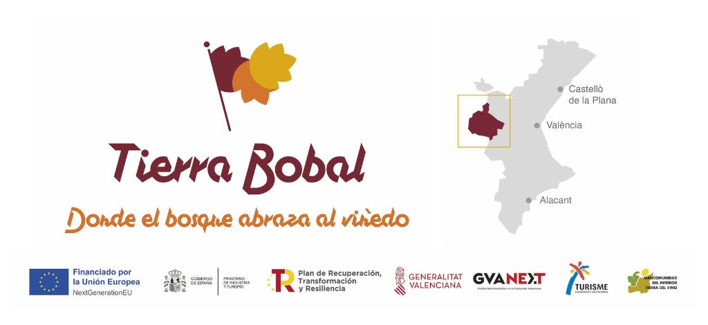 Tierra Bobal adjudica su Campaña de Publicidad en medios on y offline